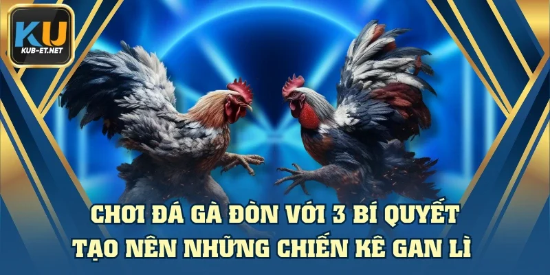 Chơi Đá Gà Đòn Với 3 Bí Quyết Tạo Nên Những Chiến Kê Gan Lì