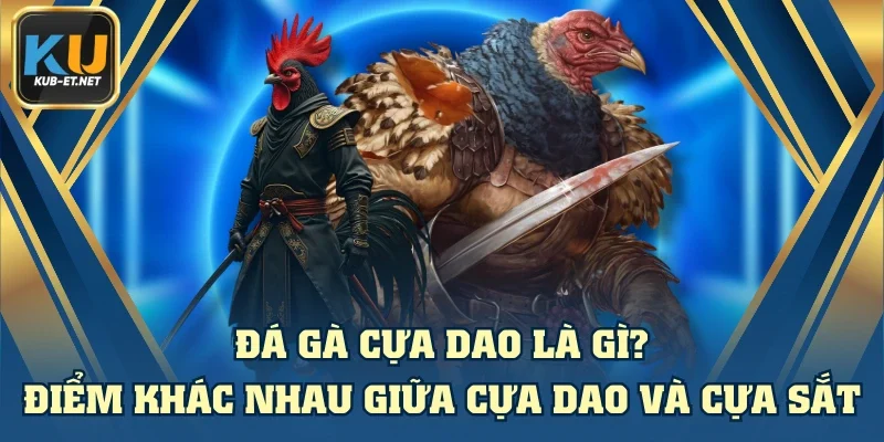 Đá Gà Cựa Dao Là Gì? Điểm Khác Nhau Giữa Cựa Dao Và Cựa Sắt