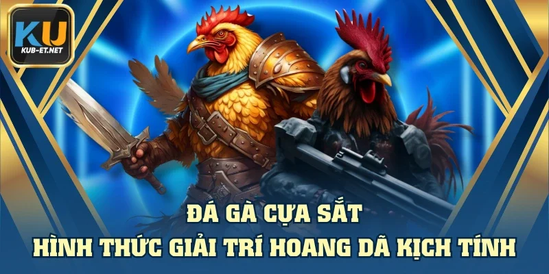 Đá Gà Cựa Sắt - Hình Thức Giải Trí Hoang Dã Kịch Tính