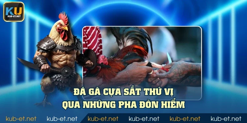 Đá gà cựa sắt thú vị qua những pha đòn hiểm