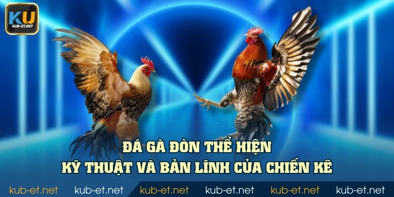 Đá gà đòn thể hiện kỹ thuật và bản lĩnh của chiến kê