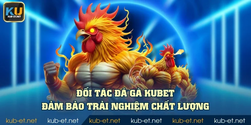 Đối tác đá gà KUBET đảm bảo trải nghiệm chất lượng