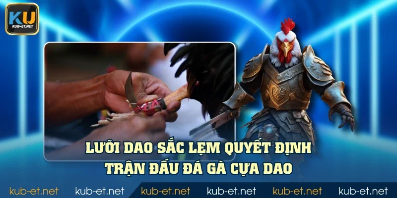 Lưỡi dao sắc lẹm quyết định trận đấu đá gà cựa dao