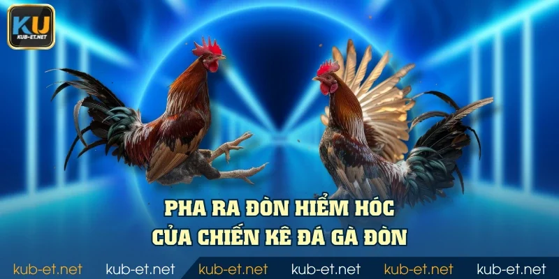 Pha ra đòn hiểm hóc của chiến kê đá gà đòn