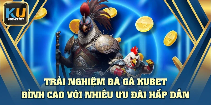 Trải Nghiệm Đá Gà KUBET Đỉnh Cao Với Nhiều Ưu Đãi Hấp Dẫn