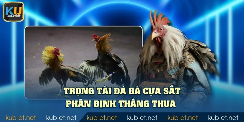 Trọng tài đá gà cựa sắt phân định thắng thua